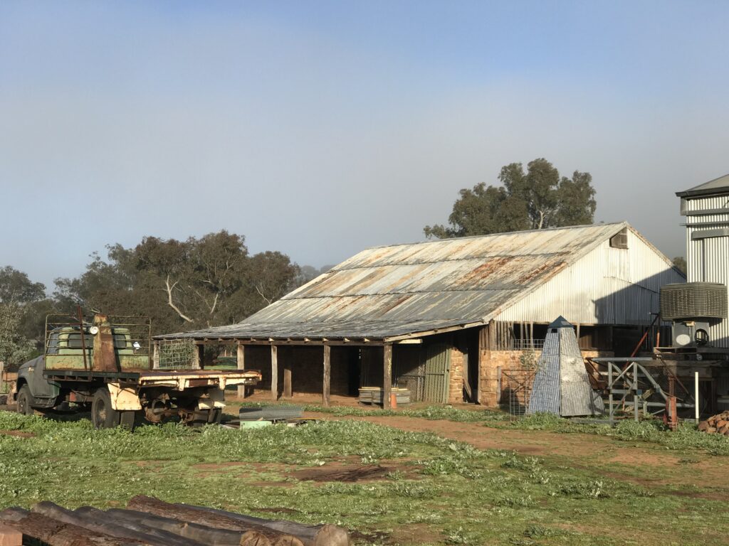 The Stable - watching over your real live Christmas trees as they grow and grow